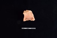 陶片藏品圖，第2張